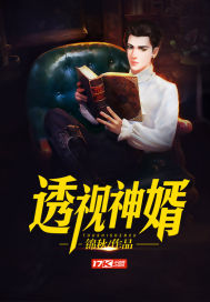 透视神医赘婿榴莲糖甜作品