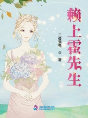 赖上霍先生 小说