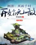 网游:从新手村开始无敌t×t