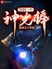 捡到一个神光棒小说全本下载