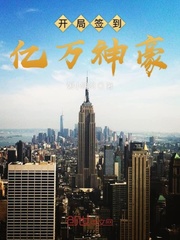 开局签到亿万集团叶辰苏婉