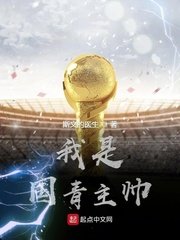 我是国青主帅免费阅读全文