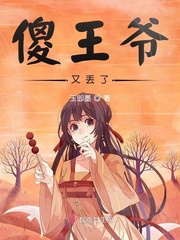 傻王爷又丢了TXT下载