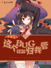 这个bug归我管 小说