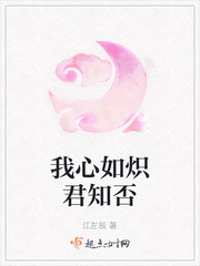 我心如炉