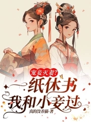 小说宠妾灭妻