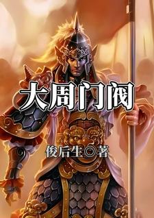 关于大周的小说