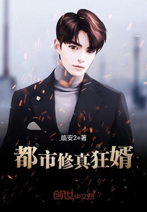 都市修仙狂婿 小说